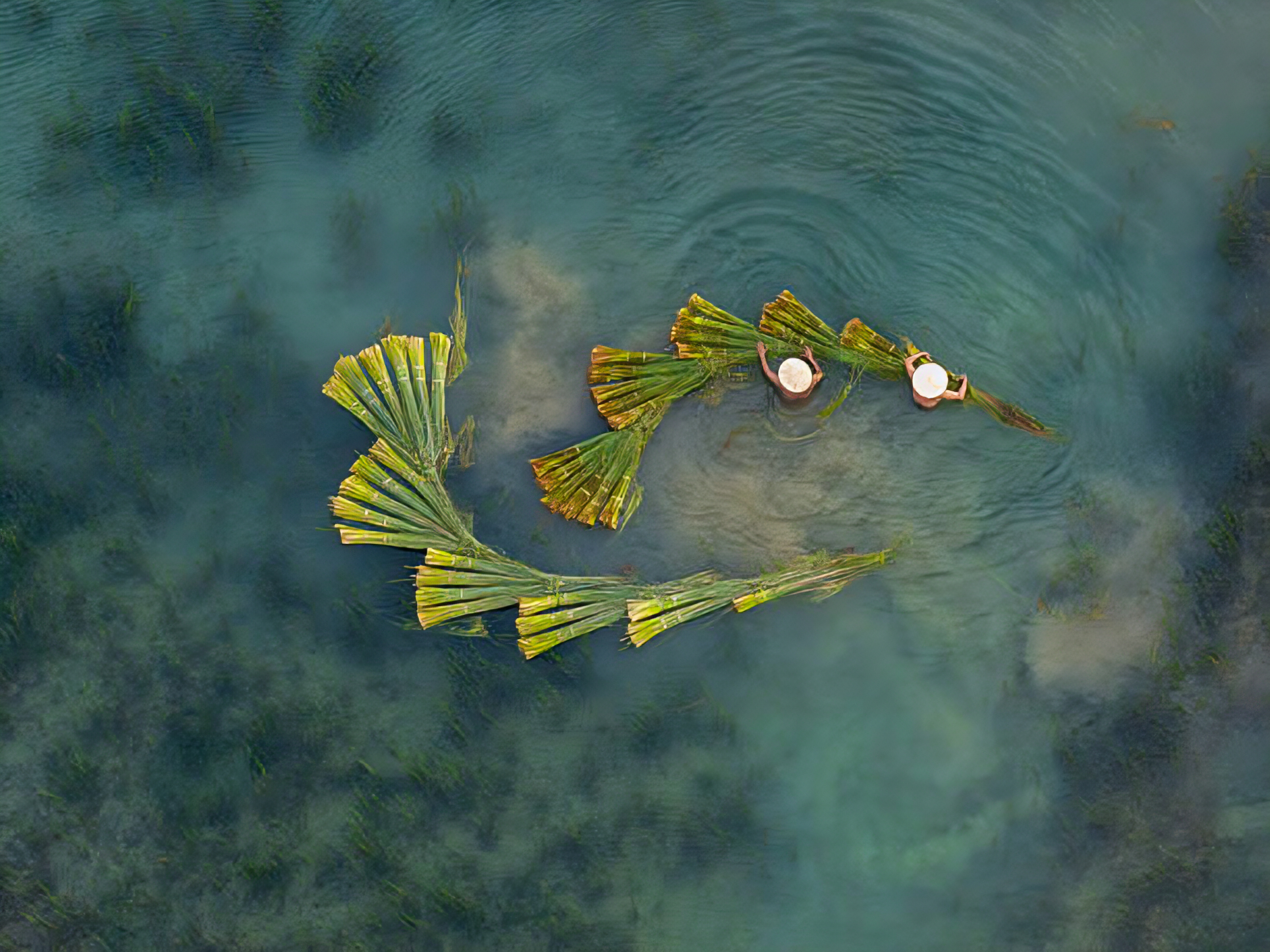 Super Tour from North to South